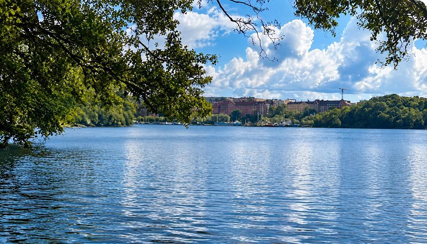 A calm lake under a summer sky, seen from beneath the trees on its bank