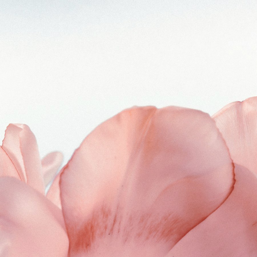 Artwork for Loving Kindness